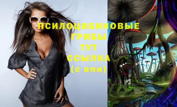 шишки Алексеевка