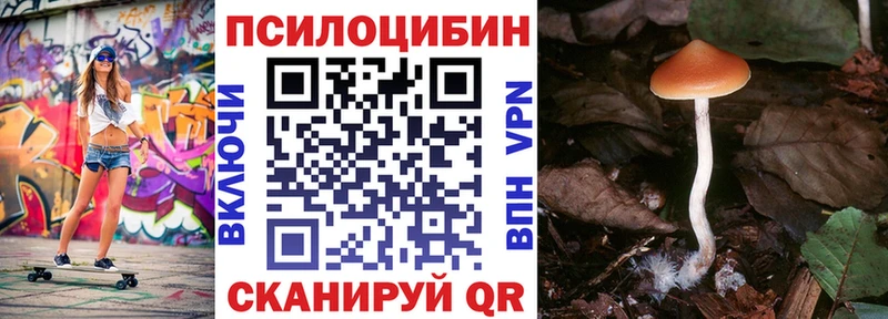 Псилоцибиновые грибы Psilocybine cubensis  mega ТОР  Куртамыш 